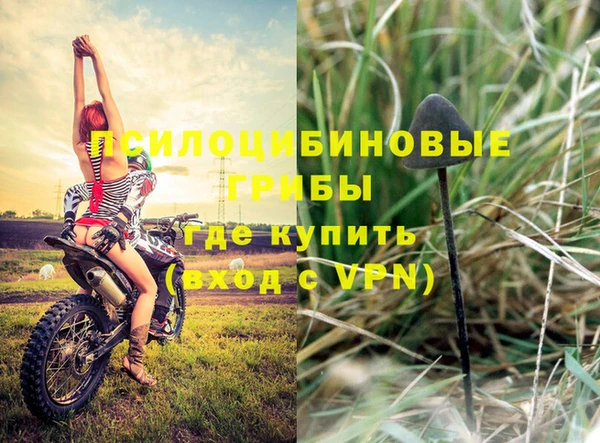 гидропоника Бронницы