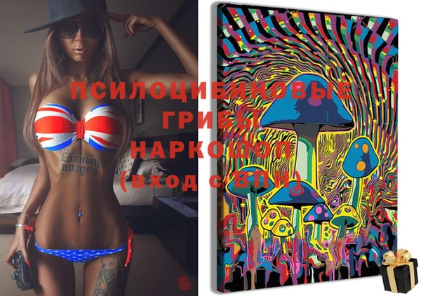 гидропоника Бронницы