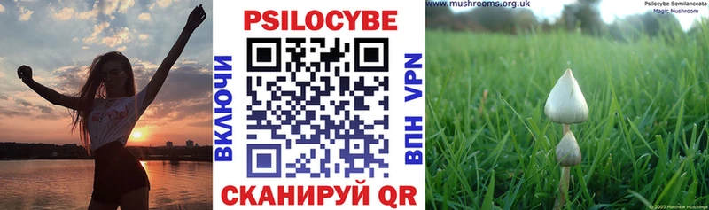 Псилоцибиновые грибы Magic Shrooms  Купить закладки  Гаджиево 