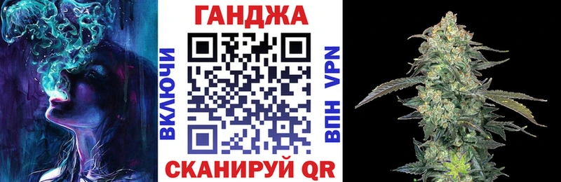 Конопля OG Kush  Купить закладки  Гаджиево 